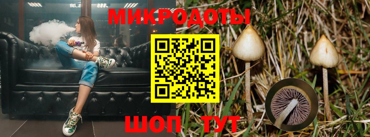 Галлюциногенные грибы ЛСД Барабинск